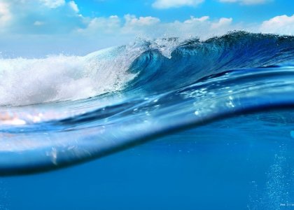 Looking back to 2019 and looking forward to 2020