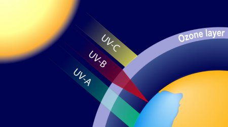 Evaluation of three UV absorbers