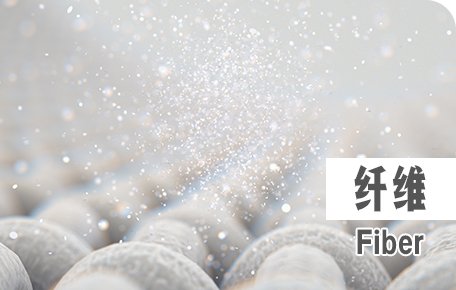 Fiber