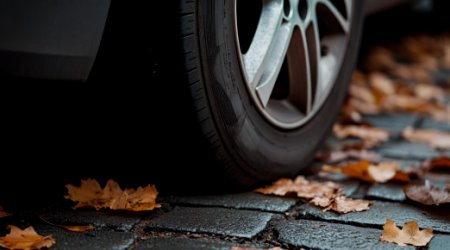 Hindered phenolic antioxidant benchmark, solving the root cause of anti-aging problems-OMNISTAB® AN565