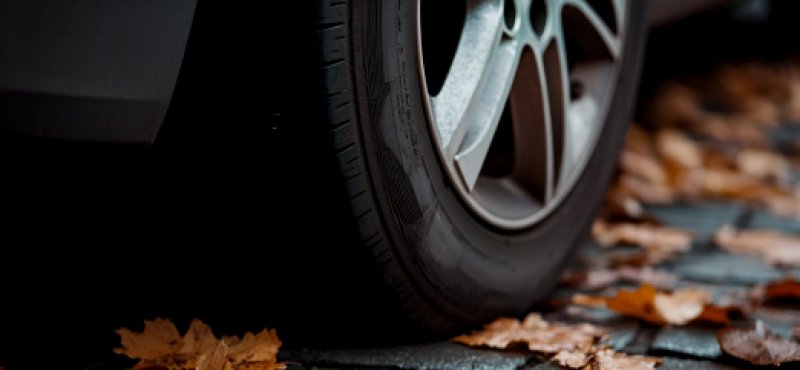 Hindered phenolic antioxidant benchmark, solving the root cause of anti-aging problems-OMNISTAB® AN565