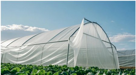 OMNISTAB® LS3529 & LS3346 – Solving Outdoor Plastic Weathering Challenges